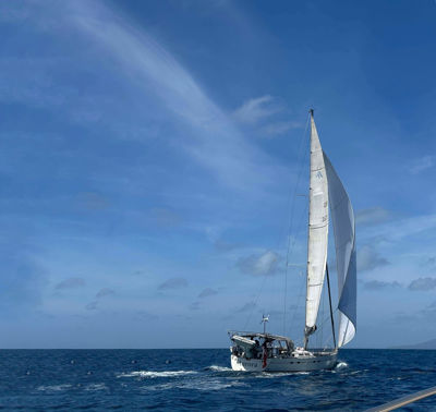 Auora1web (1)