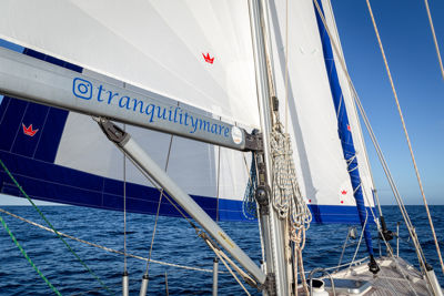 SY Tranquility Newsails