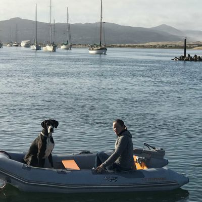 Elvstromsails Greetings Watchingsealions