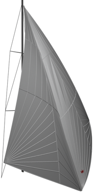 05Solanobwrunnerradial