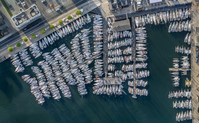 379 Boats In Svendborg Kopier