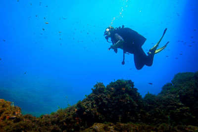 SY Tranquility Diving In Balearic Islands 2