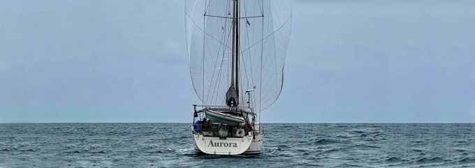Auora2web (1)