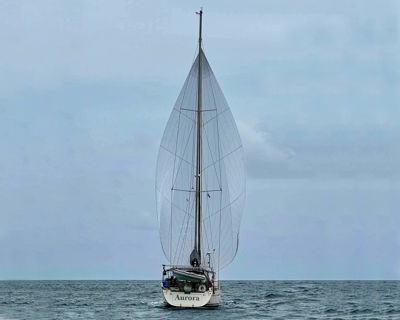 Auora2web (1)