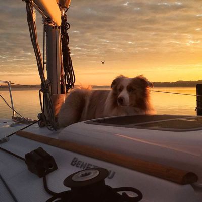 Elvstromsailsbeeonboardjpg