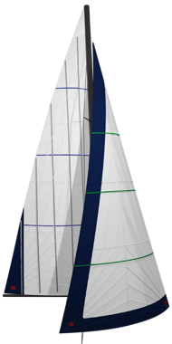 02Solanoinmastemsradial