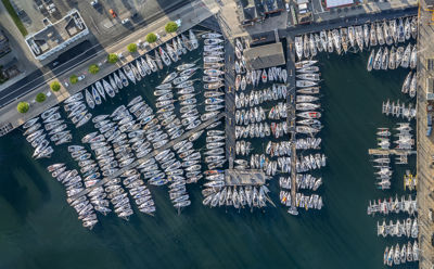 379 Boats In Svendborg Kopier